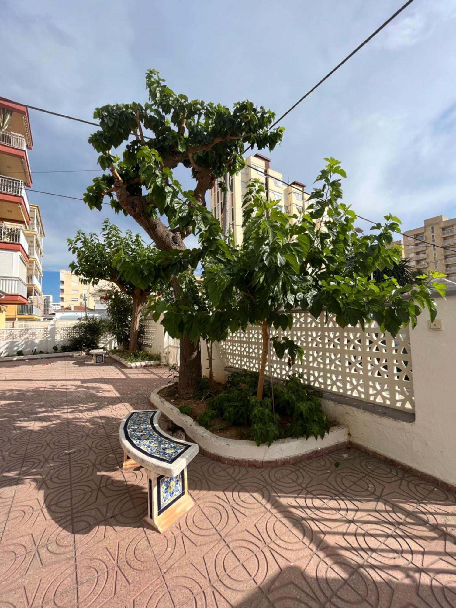 Rincon De Maria- Segunda Linea De Playa-Ganador Traveller Awards 2025 Apartment Playa de Gandia Exterior foto